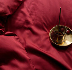 6 Pieces Silk Duvet Set Red